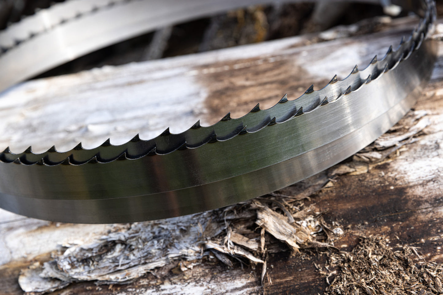 HM130MAX Sawmill Blades